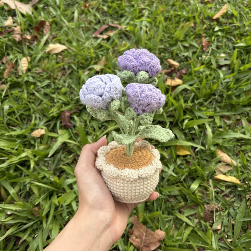 Bonsai (Potted Flower)