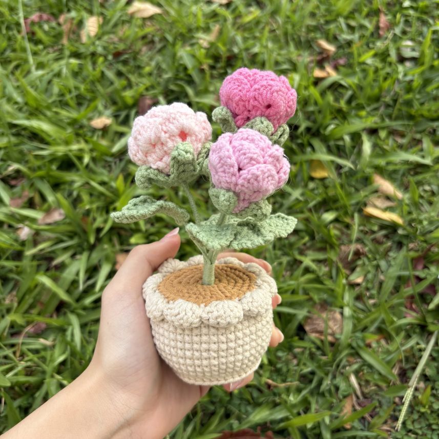 Bonsai (Potted Flower)