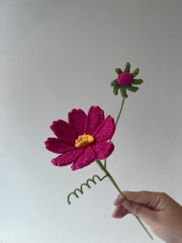 Cosmos Flower With Bud