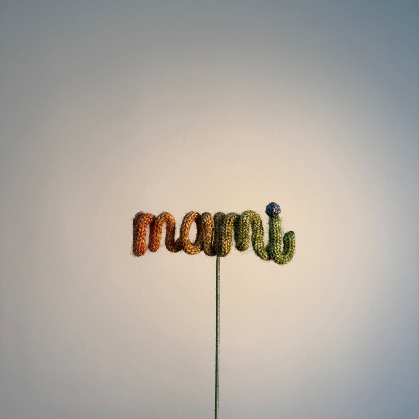 Add-On Name (Purchase with Purchase Only) (Lead Time: 5 days)