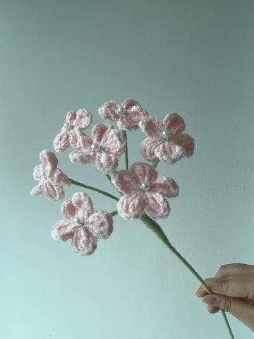 Forget-me-not