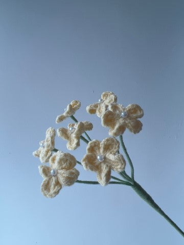 Forget-me-not