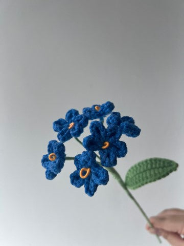 Forget-me-not