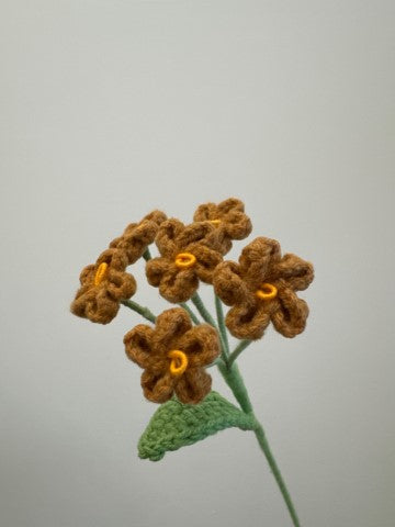 Forget-me-not