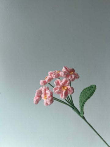 Forget-me-not