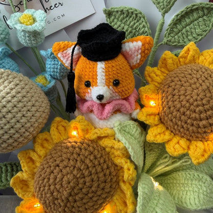 Corg-ratulations