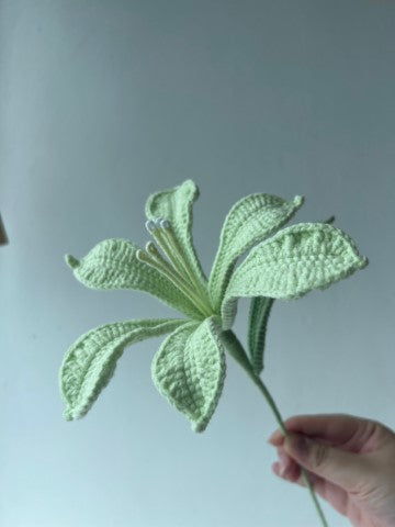 Lily Of The Incas