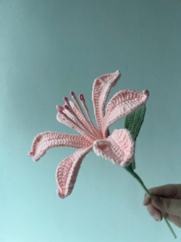 Lily Of The Incas