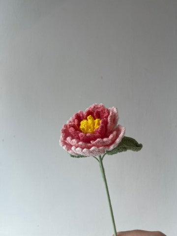 Peony