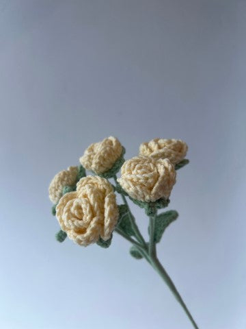 Vine Rose